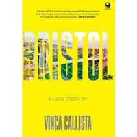 Image of Bristol: a love story